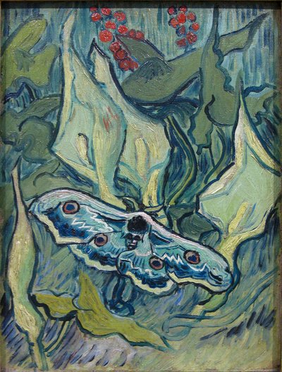 Emperor Moth by Vincent van Gogh
